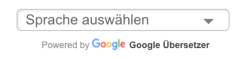 Google Translate Placeholder